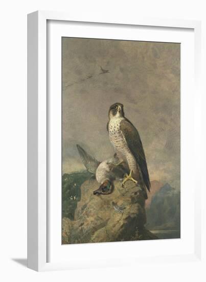 Peregrine and Teal-Archibald Thorburn-Framed Giclee Print