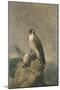 Peregrine and Teal-Archibald Thorburn-Mounted Giclee Print