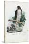 Peregrine Falcon, 1863-79-Raimundo Petraroja-Stretched Canvas