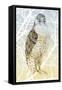 Peregrine Falcon, 2015,-Nancy Moniz Charalambous-Framed Stretched Canvas