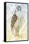 Peregrine Falcon, 2015-Nancy Moniz Charalambous-Framed Stretched Canvas