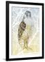 Peregrine Falcon, 2015-Nancy Moniz Charalambous-Framed Giclee Print