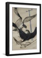 Peregrine Falcon and Kestrel-David Nockels-Framed Giclee Print