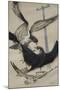 Peregrine Falcon and Kestrel-David Nockels-Mounted Giclee Print
