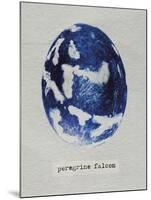 Peregrine Falcon Egg-Chris Dunker-Mounted Giclee Print