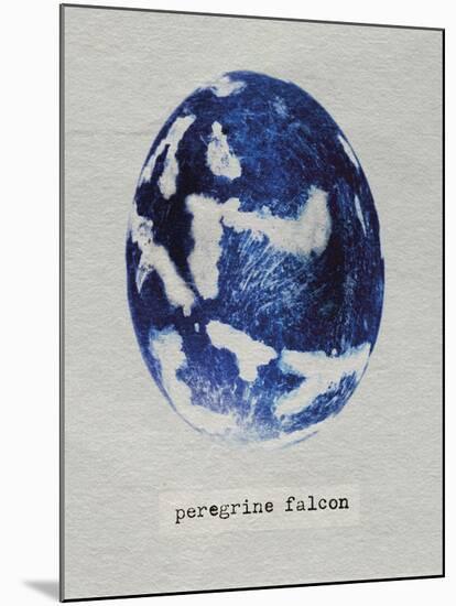 Peregrine Falcon Egg-Chris Dunker-Mounted Giclee Print