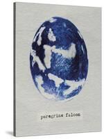 Peregrine Falcon Egg-Chris Dunker-Stretched Canvas