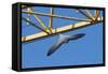 Peregrine Falcon (Falco Peregrinus) Flying Past Crane, Barcelona, Spain, April 2009-Geslin-Framed Stretched Canvas