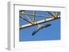 Peregrine Falcon (Falco Peregrinus) Flying Past Crane, Barcelona, Spain, April 2009-Geslin-Framed Photographic Print