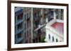 Peregrine Falcon (Falco Peregrinus) in Flight, Barcelona, Spain, April 2009-Geslin-Framed Photographic Print