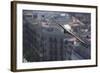 Peregrine Falcon (Falco Peregrinus) in Flight, Barcelona, Spain, April 2009-Geslin-Framed Photographic Print