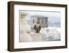 Peregrine Falcon (Falco Peregrinus) Perched On City Hall, Philadelphia, Pennsylvania, USA, May-Doug Wechsler-Framed Photographic Print