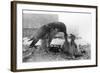 Peregrine Falcon Feeding Her Chicks-null-Framed Photographic Print