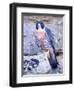 Peregrine Falcon in Flight, Native to USA-David Northcott-Framed Photographic Print