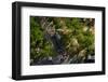 Peregrine falcon in flight over city, Sagrada Familia, Barcelona-Oriol Alamany-Framed Photographic Print