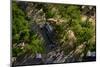 Peregrine falcon in flight over city, Sagrada Familia, Barcelona-Oriol Alamany-Mounted Photographic Print