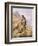 Peregrine Falcon-Carl Donner-Framed Giclee Print