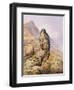 Peregrine Falcon-Carl Donner-Framed Giclee Print