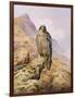 Peregrine Falcon-Carl Donner-Framed Giclee Print