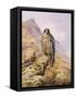 Peregrine Falcon-Carl Donner-Framed Stretched Canvas