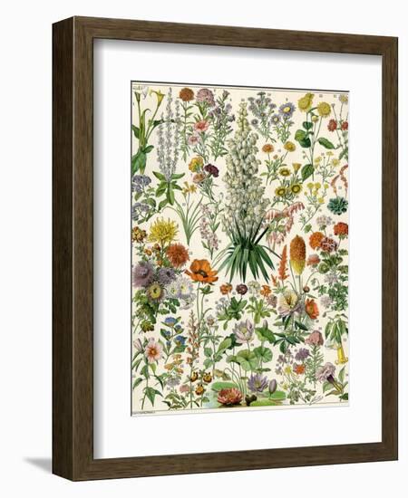 Perennial Garden Flowers, Aster, Daisy, Bleeding Heart, Geranium, Primrose, Phlox-null-Framed Premium Giclee Print