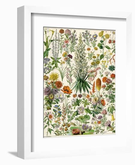 Perennial Garden Flowers, Aster, Daisy, Bleeding Heart, Geranium, Primrose, Phlox-null-Framed Premium Giclee Print