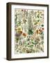 Perennial Garden Flowers, Aster, Daisy, Bleeding Heart, Geranium, Primrose, Phlox-null-Framed Premium Giclee Print