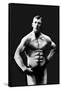 Perfect Abs-null-Framed Stretched Canvas