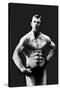 Perfect Abs-null-Stretched Canvas