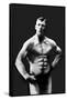 Perfect Abs-null-Framed Stretched Canvas