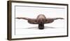 Perfect Balance-Ross Oscar-Framed Photographic Print