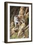 Perfect Camouflage-Trevor V. Swanson-Framed Giclee Print