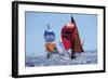 Perfect Day For A Sail Race-null-Framed Art Print