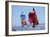 Perfect Day For A Sail Race-null-Framed Art Print