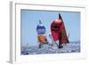 Perfect Day For A Sail Race-null-Framed Art Print