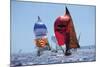 Perfect Day For A Sail Race-null-Mounted Art Print