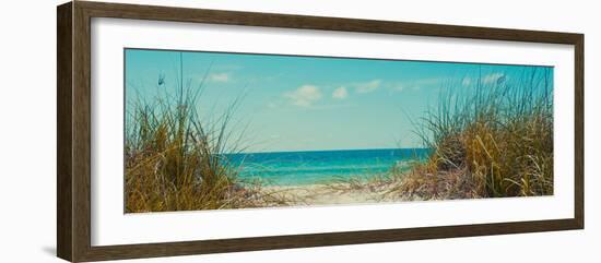 Perfect Day I-Susan Bryant-Framed Photographic Print