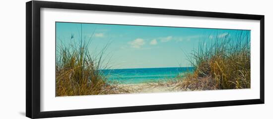 Perfect Day I-Susan Bryant-Framed Photographic Print
