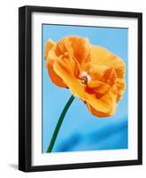 Perfect Day-Tulla Booth-Framed Giclee Print