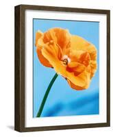 Perfect Day-Tulla Booth-Framed Giclee Print