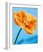 Perfect Day-Tulla Booth-Framed Giclee Print