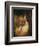 Perfect Harmony-Jean Antoine Watteau-Framed Giclee Print