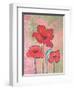 Perfect Poppies-Bee Sturgis-Framed Art Print