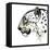Perfect Profile, 2015-Mark Adlington-Framed Stretched Canvas