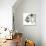 Perfect Profile, 2015-Mark Adlington-Giclee Print displayed on a wall