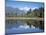 Perfect Reflection on Lake Matheson, Fox Glacier, Westland, South Island, New Zealand-D H Webster-Mounted Photographic Print