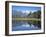 Perfect Reflection on Lake Matheson, Fox Glacier, Westland, South Island, New Zealand-D H Webster-Framed Photographic Print