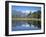 Perfect Reflection on Lake Matheson, Fox Glacier, Westland, South Island, New Zealand-D H Webster-Framed Photographic Print