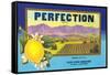 Perfectin Lemon Label-null-Framed Stretched Canvas