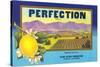 Perfectin Lemon Label-null-Stretched Canvas